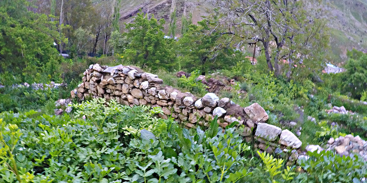 Bediüzzaman'ın hayatından bir durak: Mir Hasan-ı Veli Medresesi