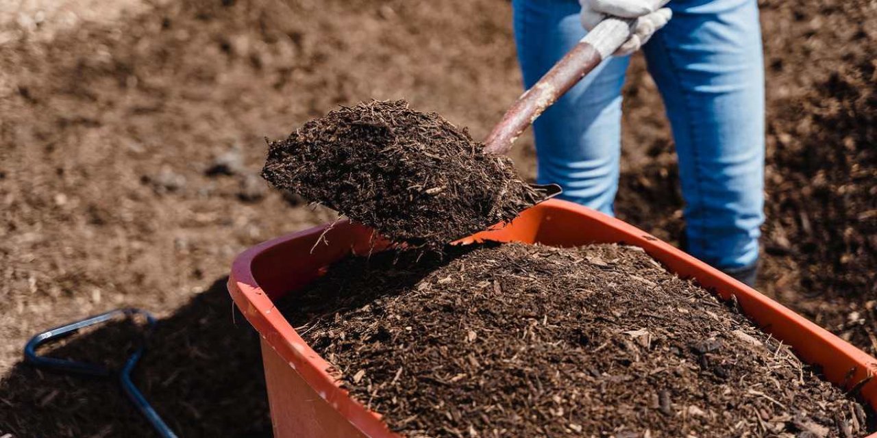 Çevreyi düşünüyorlar: New York'ta cesetler gübreye dönüştürülecek!