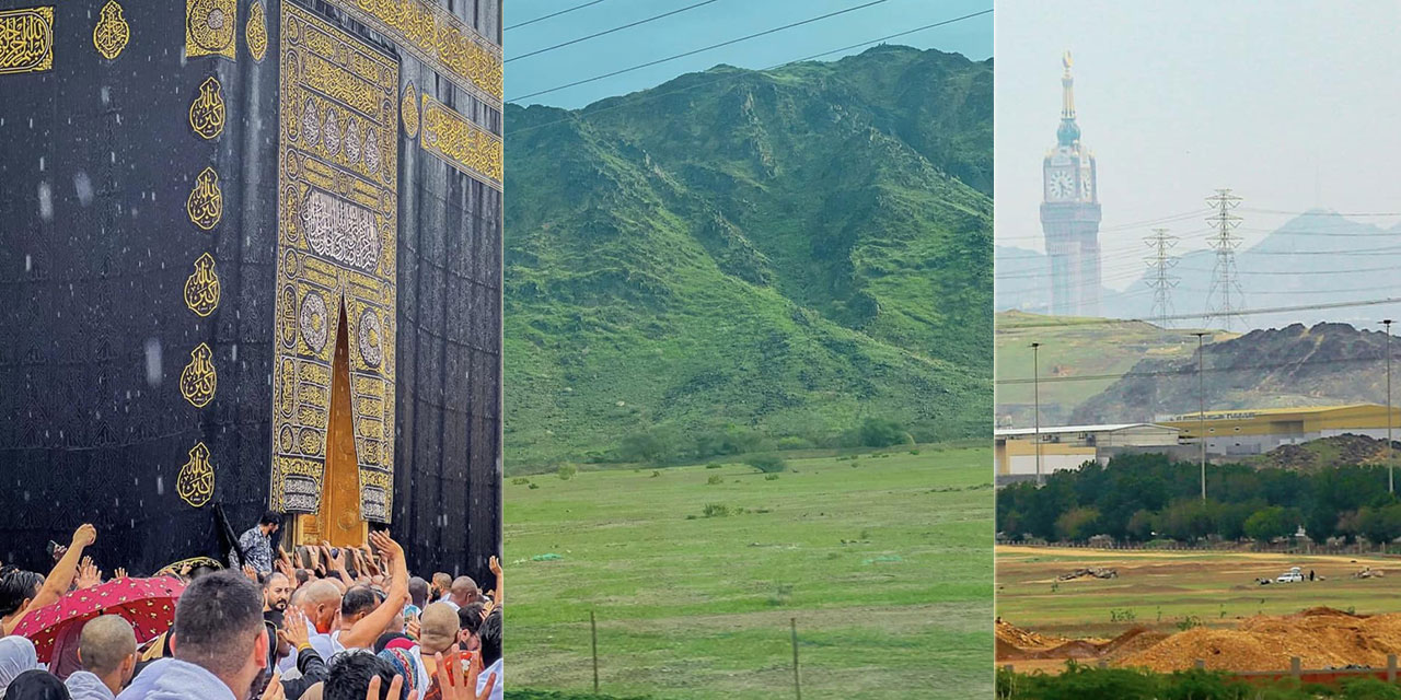 Mekke’de son yağışlardan sonra yeşil manzara