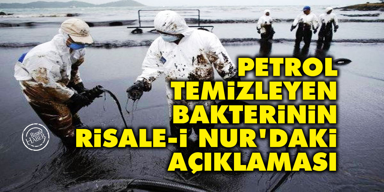 Petrol temizleyen bakterinin Risale-i Nur'daki açıklaması