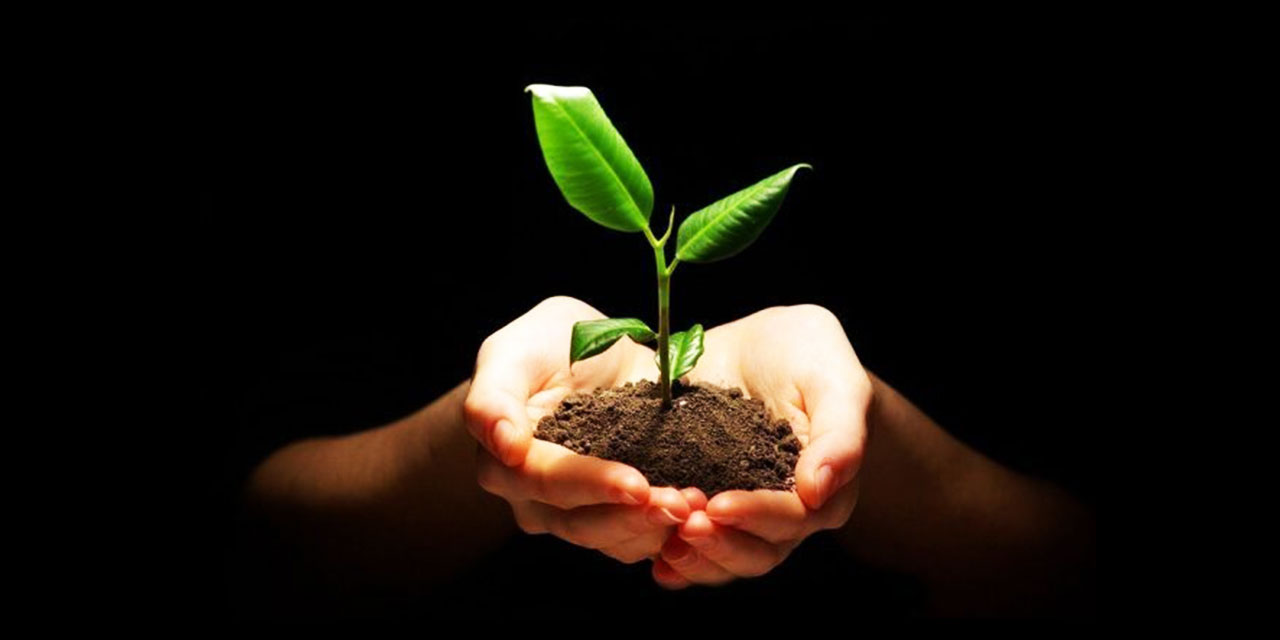 Kastamonu Lâhika düsturları: Müsbet hareketi esas tutmak