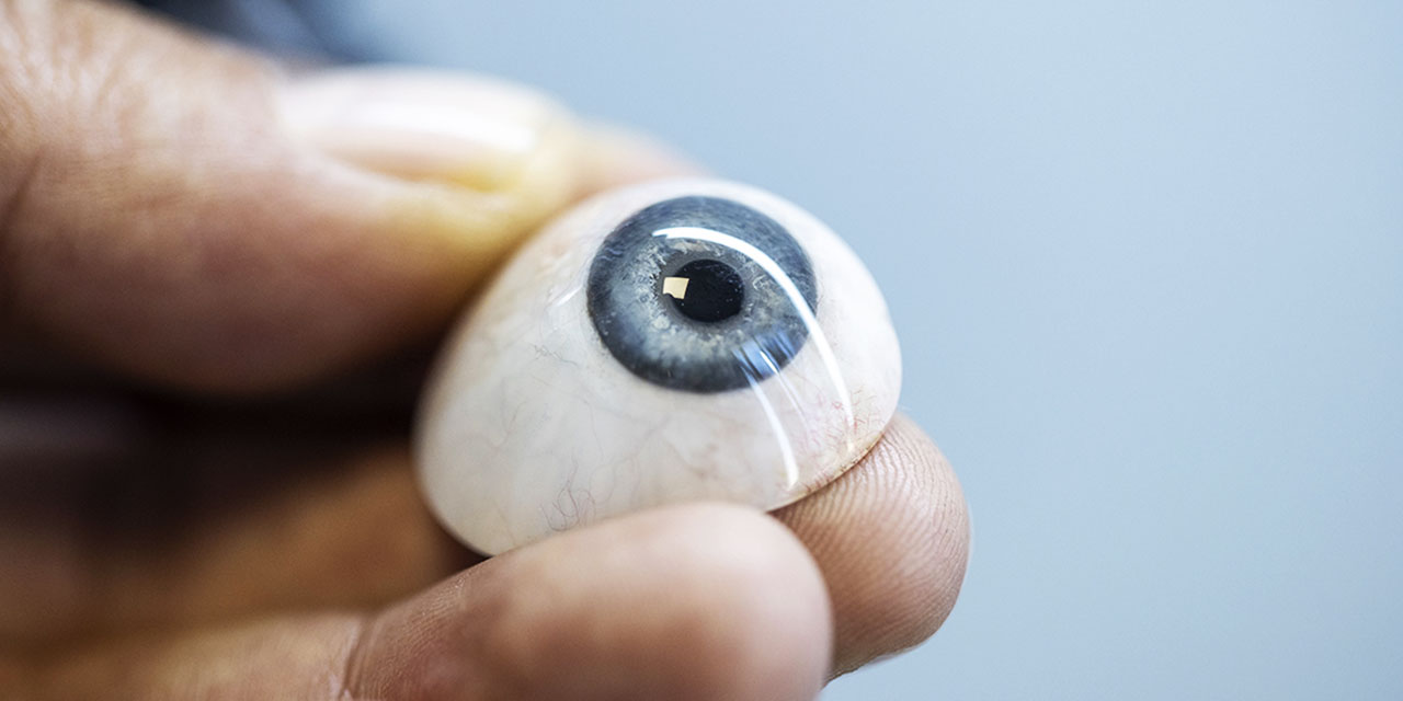 Evrimcide Olmayan Göz