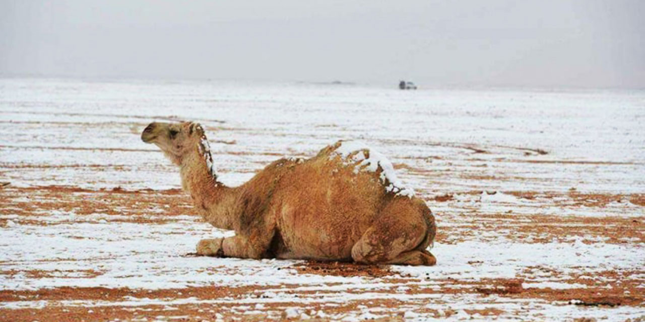 Cezayir’de çöldeki bazı bölgelere kar yağdırıldı