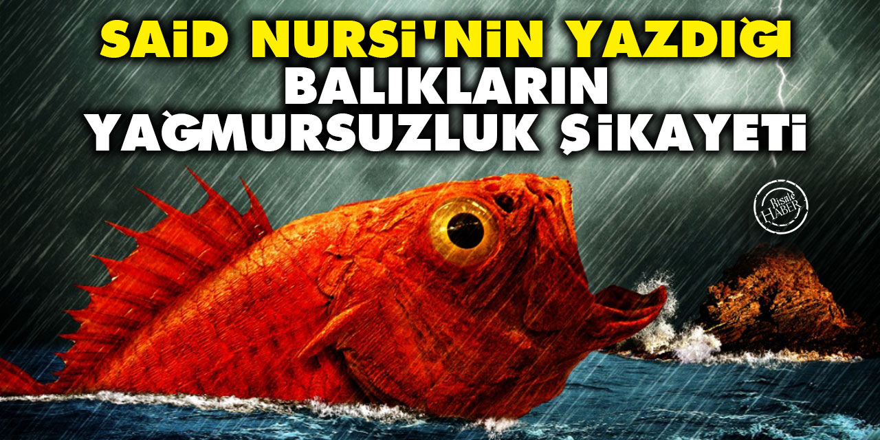 Said Nursi'nin yazdığı 'balıkların yağmursuzluk' şikayeti