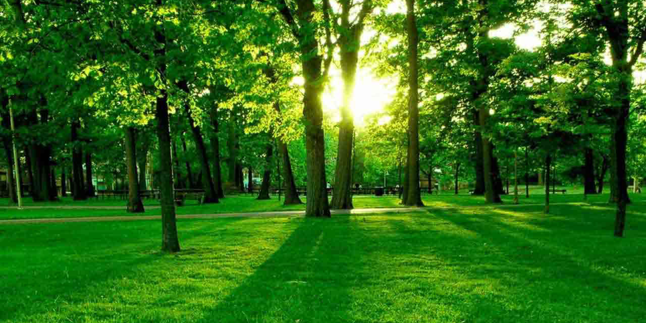 Bediüzzaman: İstihdam olunuyoruz, bize hizmet-i Kur'âniye yaptırılıyor