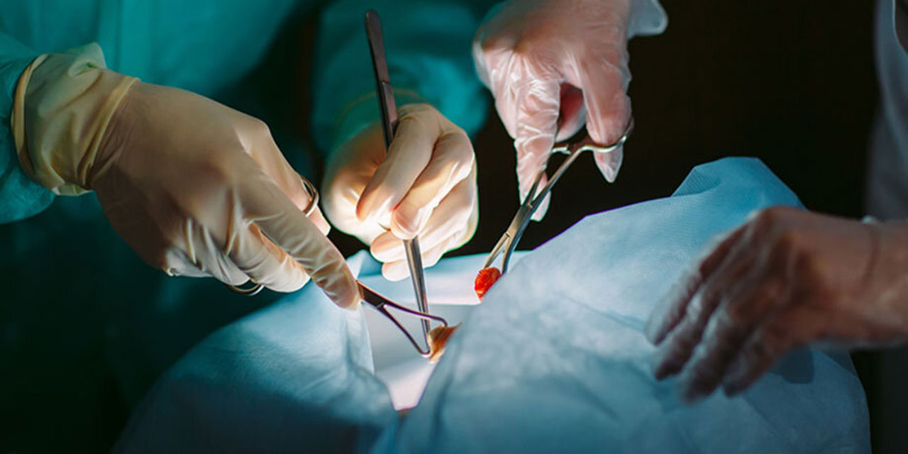 Organ nakli ve organ bağışı caiz mi? İşte Diyanet'in fetvası