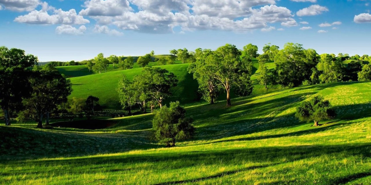 Şu fâni âlemdeki herşey binnetice Cennete nâzır ve hayran
