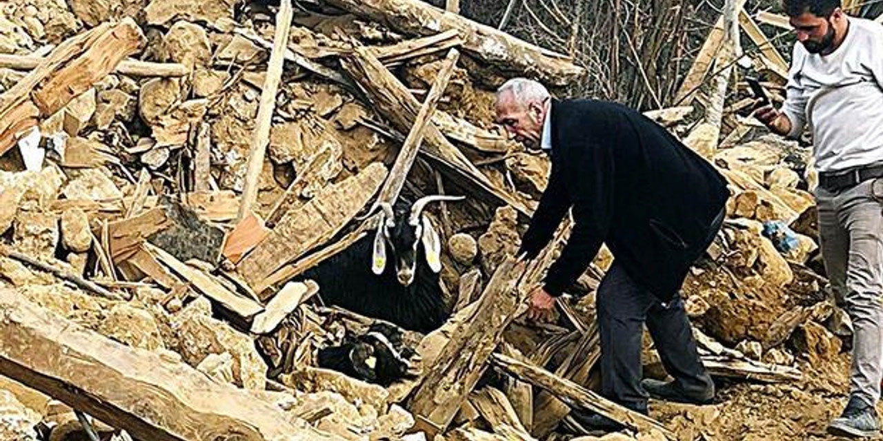 Depremden 26 gün sonra enkazdan 2 keçi canlı çıkarıldı