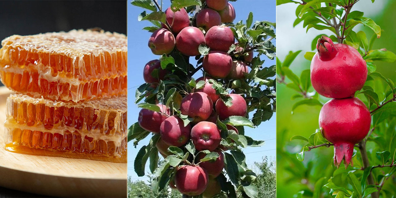 Lezzeti Baldan, Elmayı, Narı Daldan Mı Sandın?