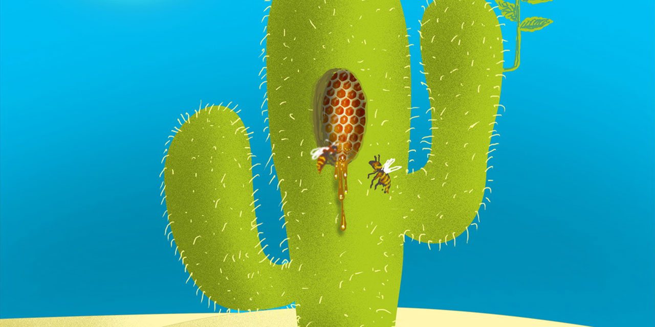 Olmazları olduran Allah'ım