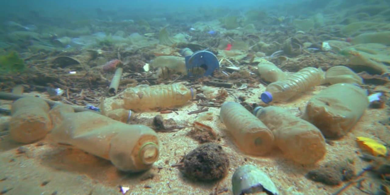 Plastikleri düşük sıcaklıklarda sindirmek için yaratılan mikroplar keşfedildi