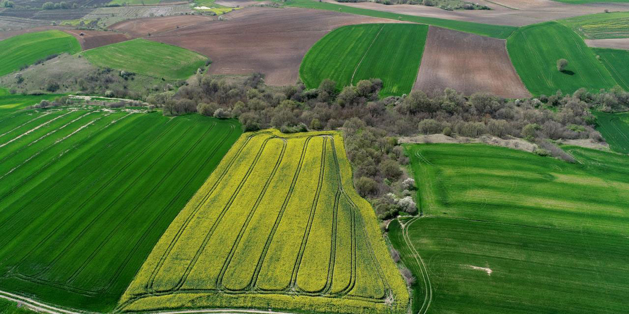 İlkbahar yağışları kuraklık stresini azalttı