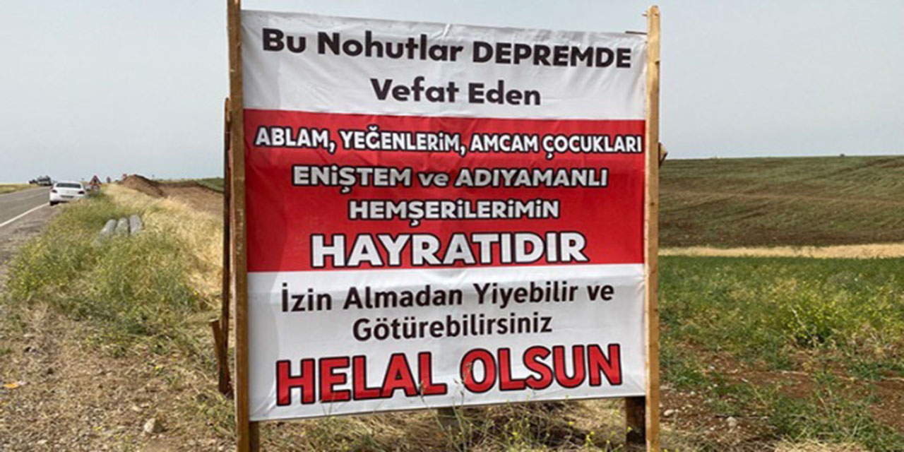 Tarladan nohut toplayanların ücreti: Fatiha!