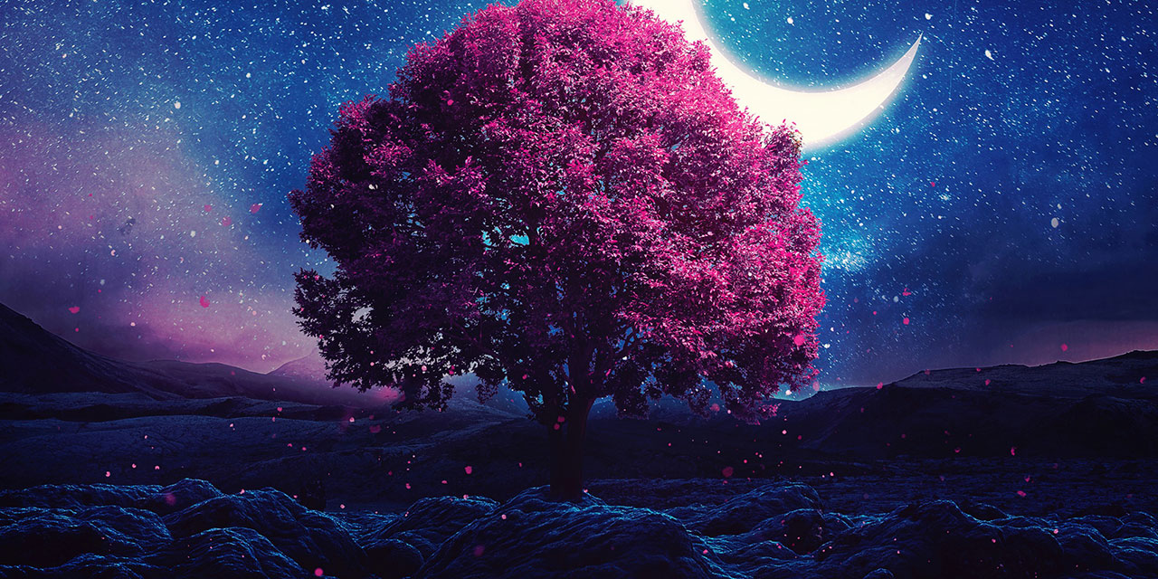 Bediüzzaman: İslâmiyet, kötü ahlâkımızdan darılmış, bizi şikâyet edecek