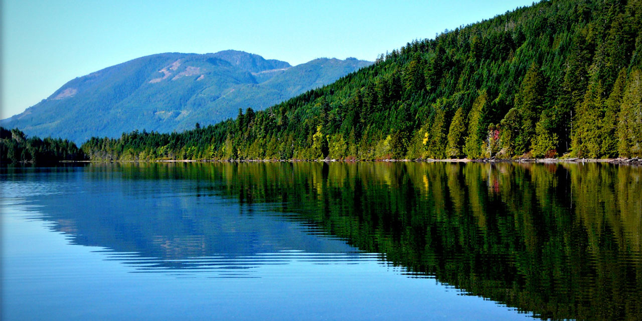 Tesadüfî değil, kader-i Sübhânî her işimizde hâkim