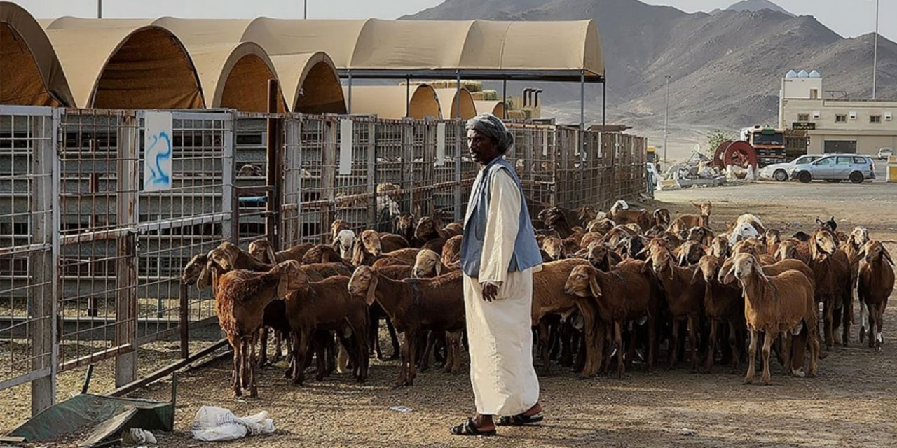 Suudi Arabistan da Kurban Bayramı'na 28 Haziran'da başlayacak