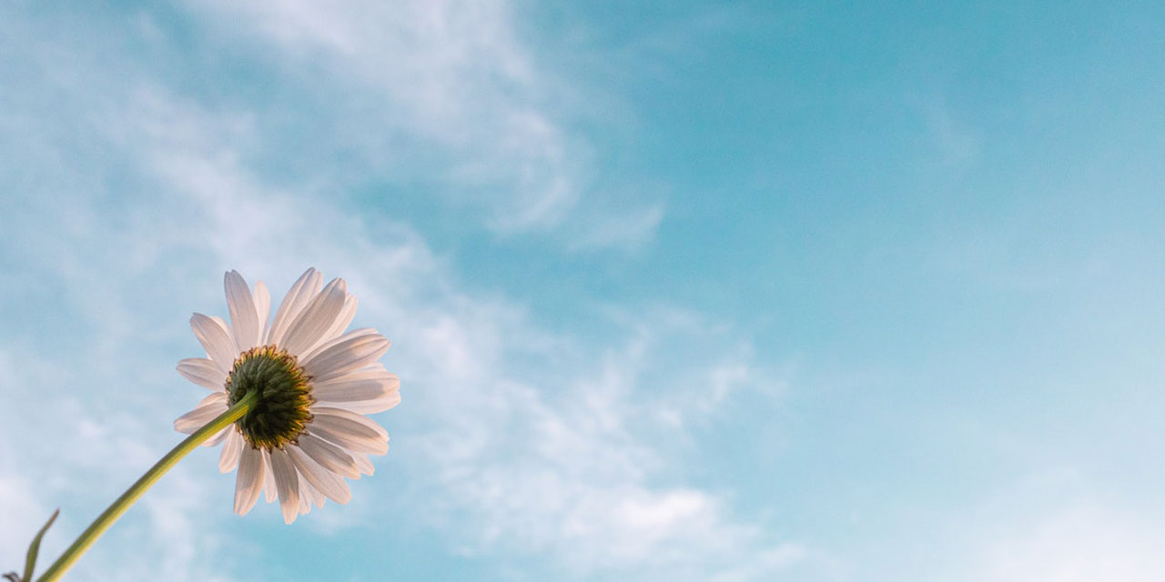 Kudret Sırlarını İdrak’te Hz. Peygamber’in (asm) Yolculuğu