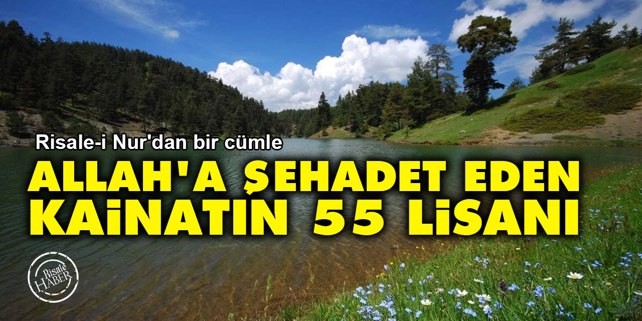 Risale-i Nur'dan bir cümle: Allah'a şehadet eden 'kainatın 55 lisanı'