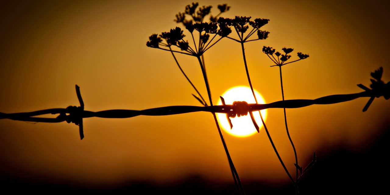 Karanlık Darbelerden Huzurlu Geleceğe: 6x6 inşa matrisi