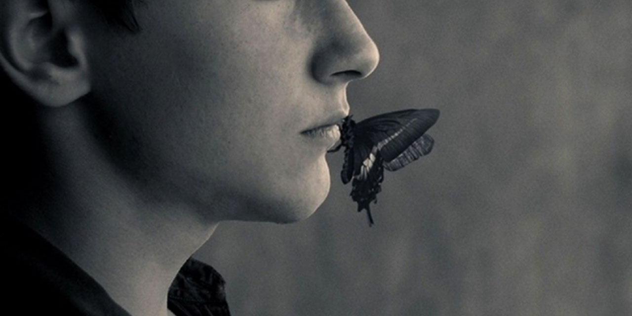 Красивое молчание. Бабочка на губах мужчины. Молчание. Эстетика молчать. Красивый голос Эстетика.