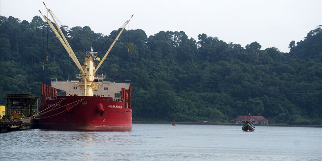 Hindistan'da liman işçileri israile silah taşıyan gemilere yükleme yapmayacak