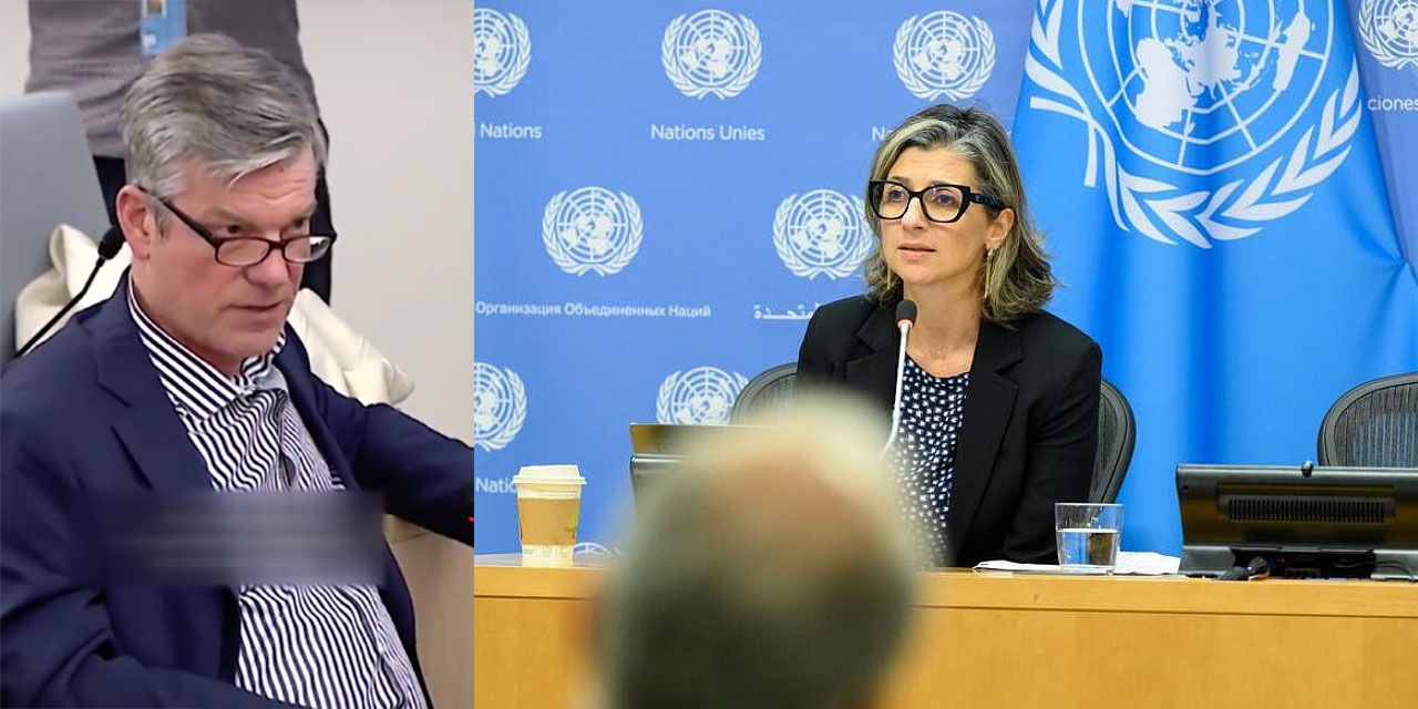 BM raportöründen, israilin borazanlığını yapan Alman gazeteciyi rezil eden soykırım cevabı
