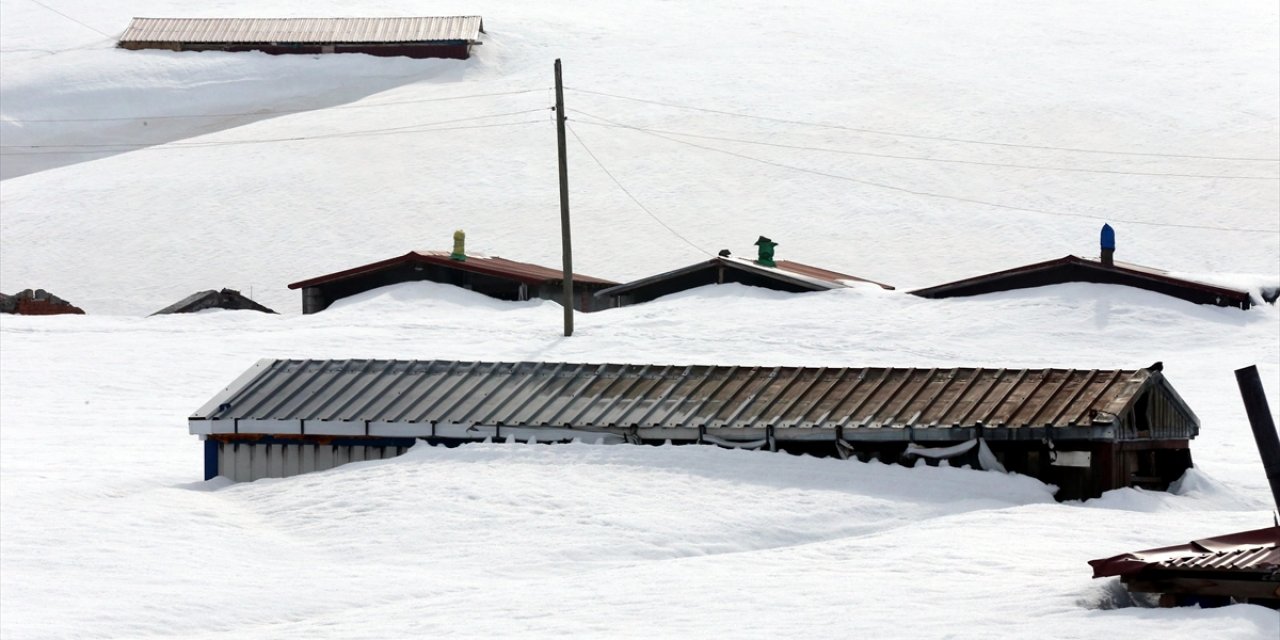 Ardahan'da yayla evleri ilkbaharda kara gömüldü