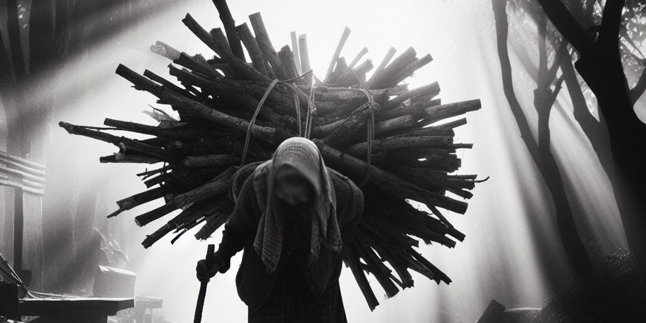 Bediüzzaman: Merhume Zehra belinde odun taşıyordu, ta Hafız eşi Nurları yazsın!