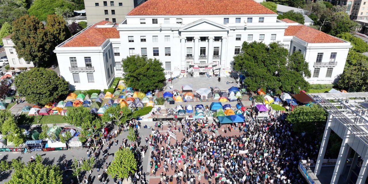 Berkeley Üniversitesi öğrencileri kampüsü Filistin'e destek çadırlarıyla donattı