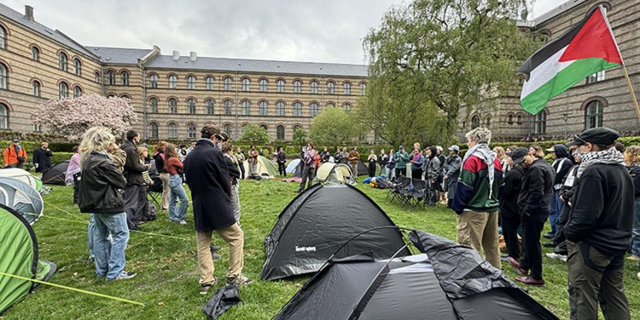 Trump etkisi: Filistin'e destek gösterileri düzenlenen 5 üniversiteye 'antisemitizm' soruşturması