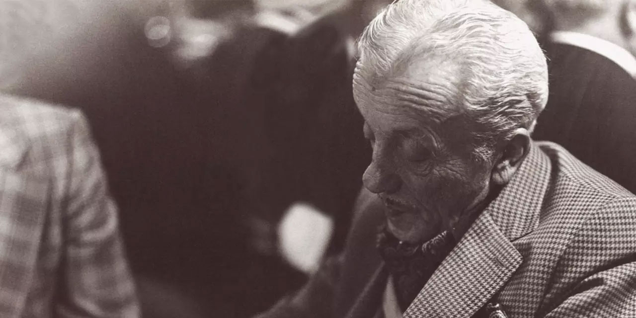 Said Nursi'den Necip Fazıl'a: Üzülme! Risale-i Nur talebesi olarak kabul ettim!