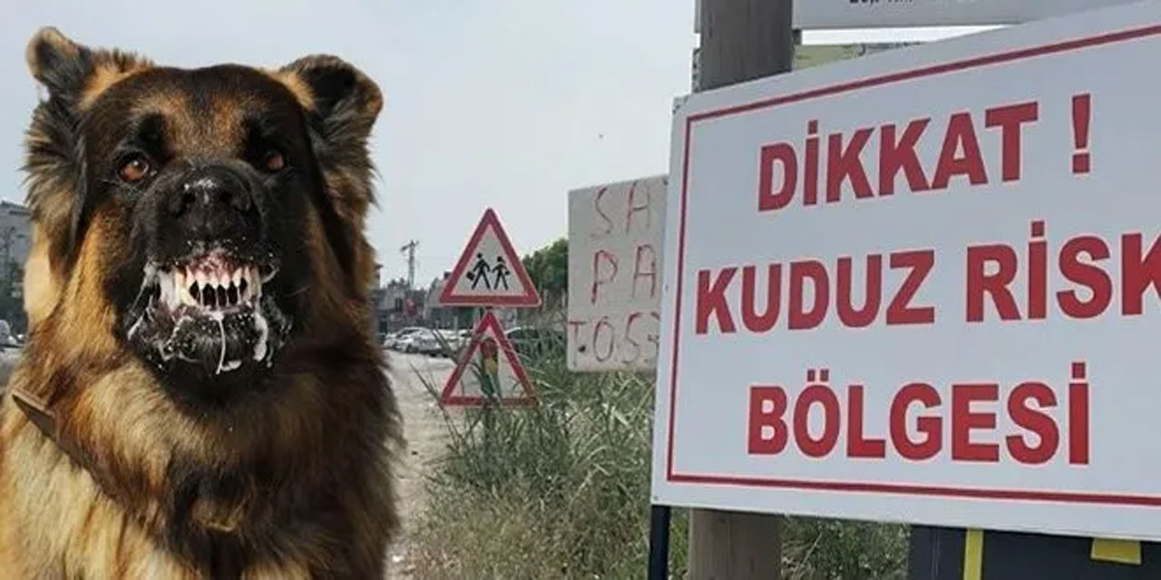 Şanlıurfa'da kuduz köpek alarmı: İki mahalle karantinaya alındı