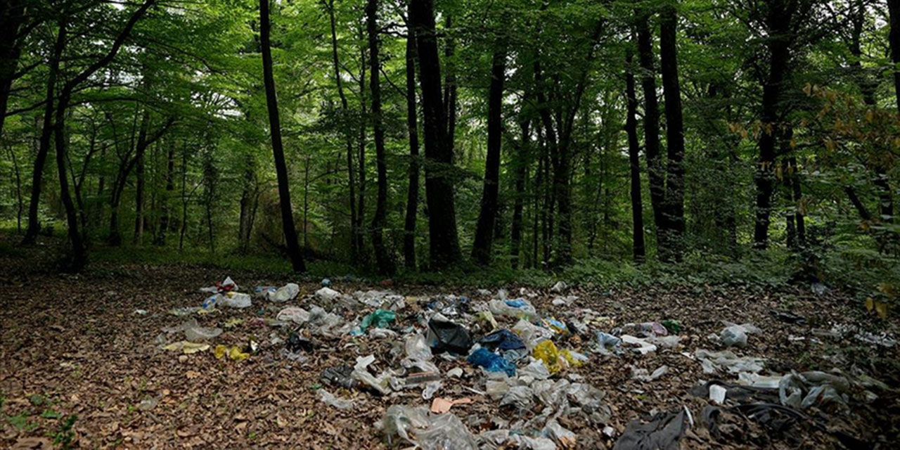 Bazı mahluklar böyle işte: Yer, içer, çöpünü de ormana bırakır gider!