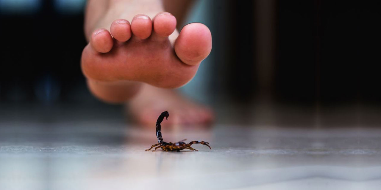 Diamon Tema gibilerin tuzağını mürşidim Bediüzzaman, yıllar önce bozdu