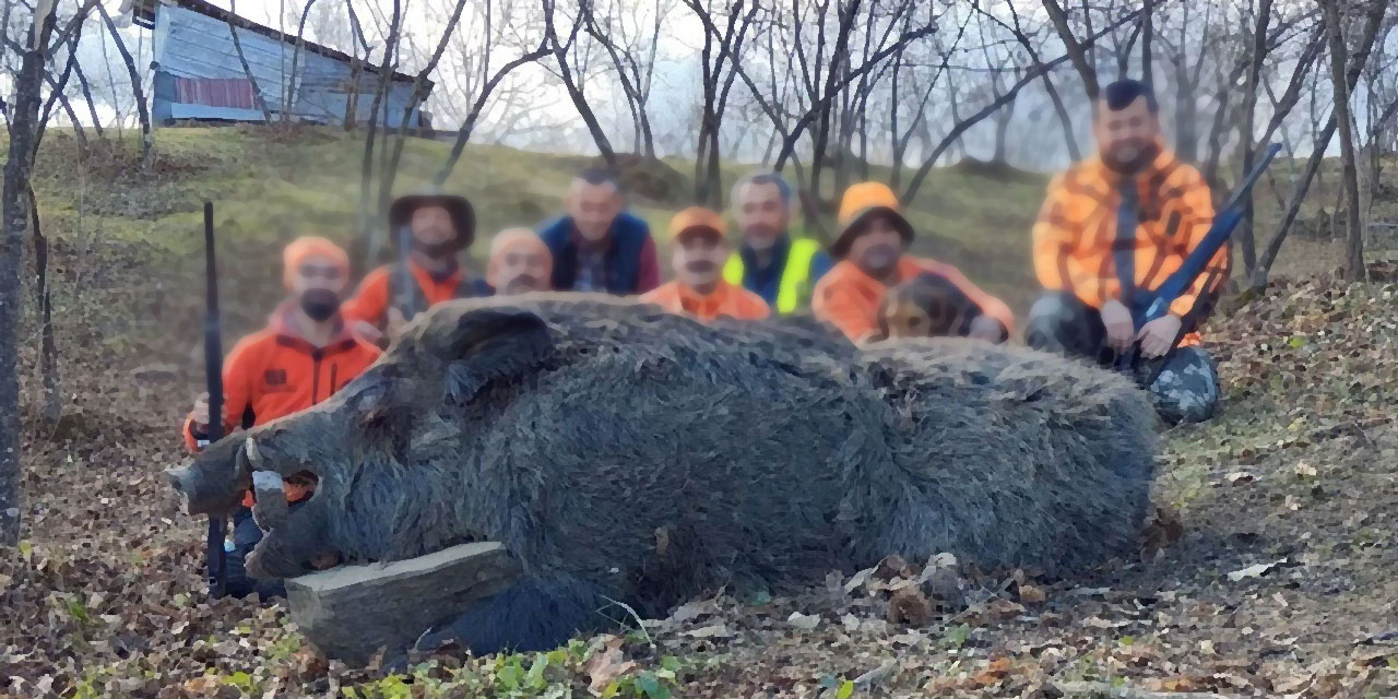 Gideon’un Domuzları ve yahudiler