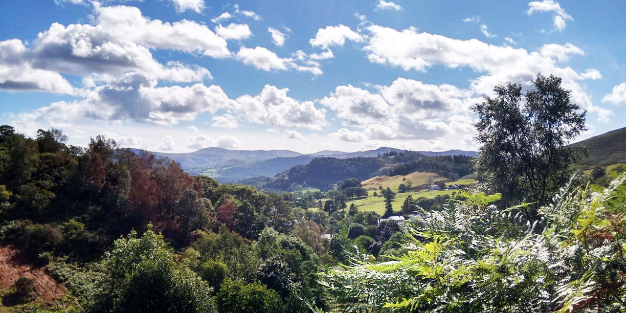 Colin Turner: Biz buyuz ve O, O'dur, bu kadar basit