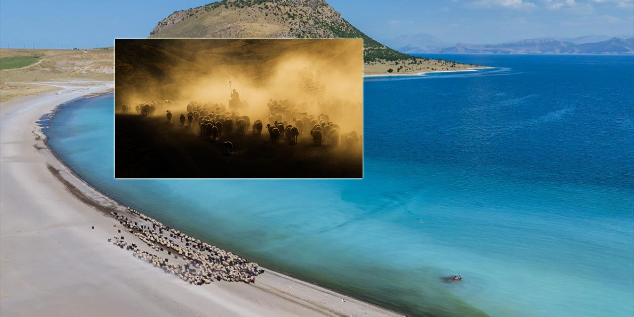 Bitlis'te sürülerin yayla yolculuğu