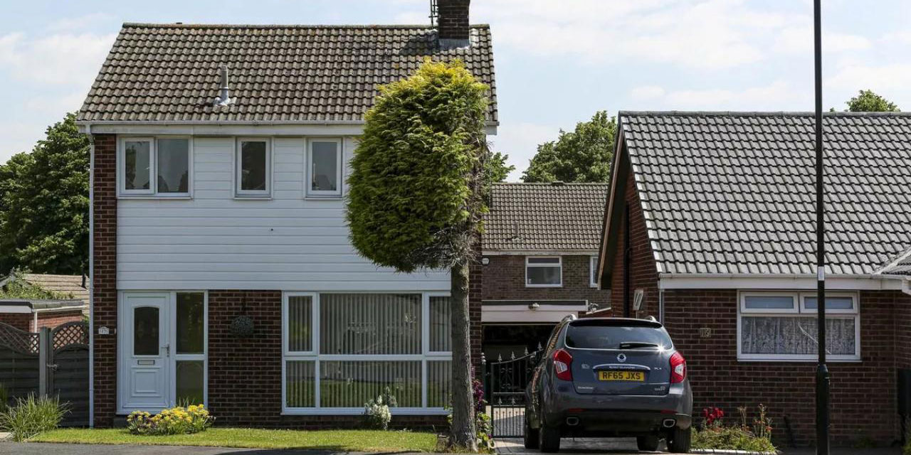 İki yaşlı komşunun kavgası bir ağacı turistik cazibe merkezine çevirdi