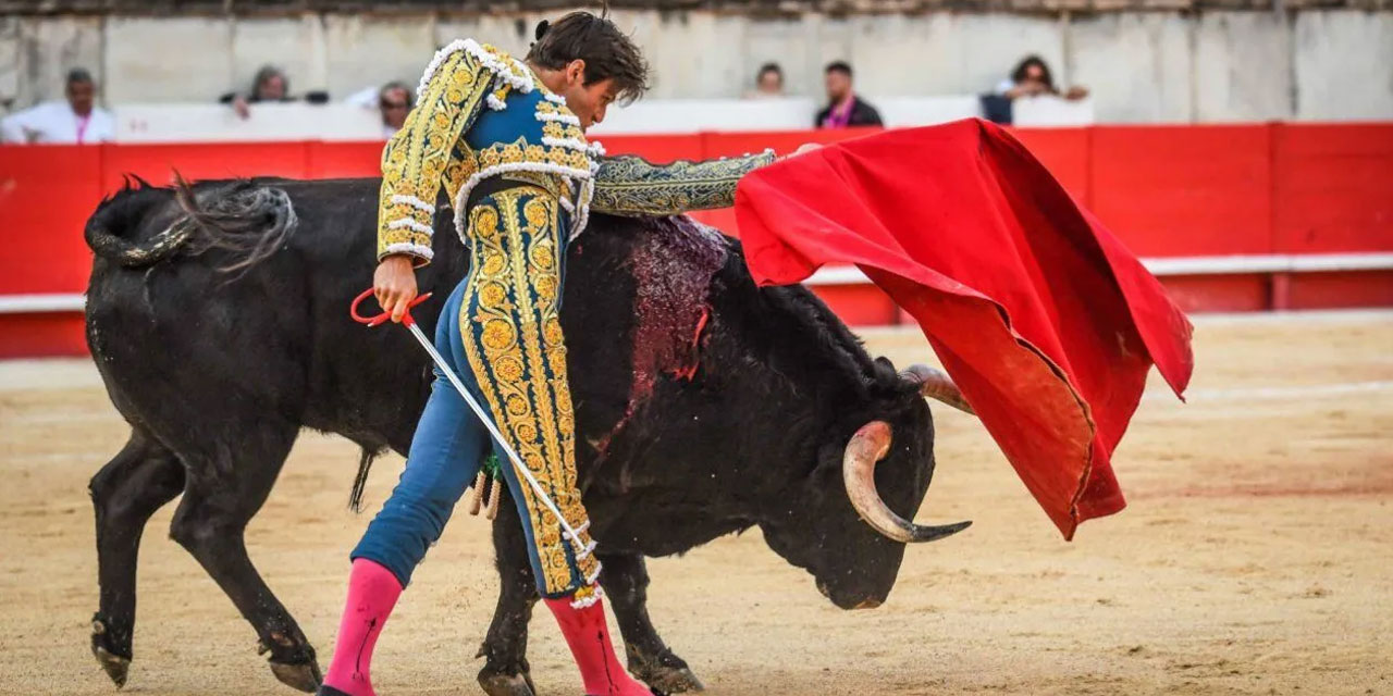 Eğlence için canlı öldürülemez: Kolombiya'da boğa güreşi yasaklandı