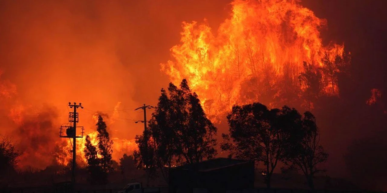 Orman yangınlarının tetikleyicisi: Atıklar