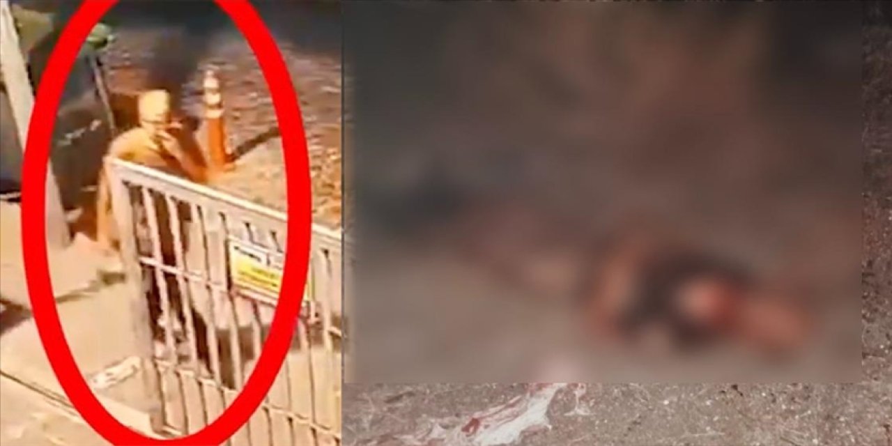 Köpekler, İstanbul'un ortasında 40 yaşındaki insanı öldürdü!