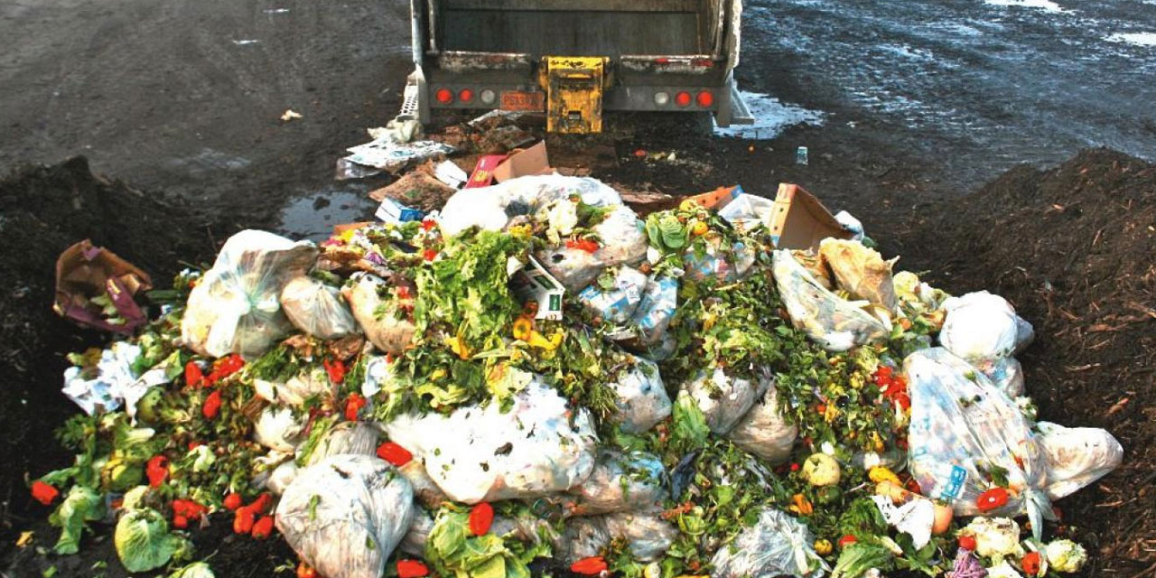 Güney Kore’de gıda atıklarının yüzde 98’i geri dönüştürülüyor