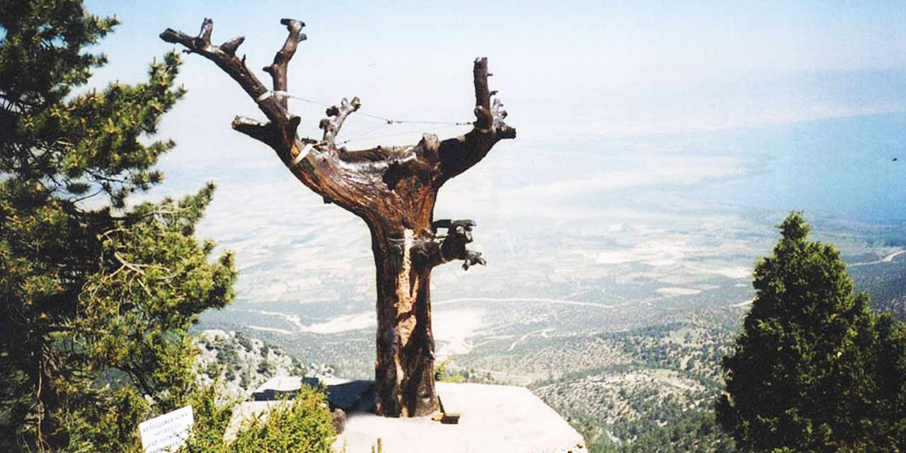 Bediüzzaman: Birinci medrese-i Nuriye şerefini kazanan Barla'yı talebesiz bırakmak câiz değil