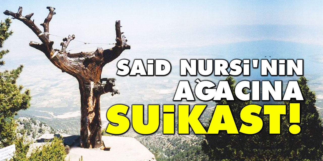 Said Nursi'nin ağacına suikast!