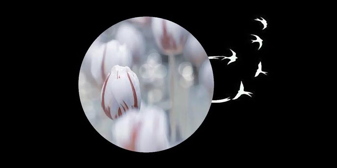 Ölümden sonra başlayan Ahiret hayatının 14 aşaması