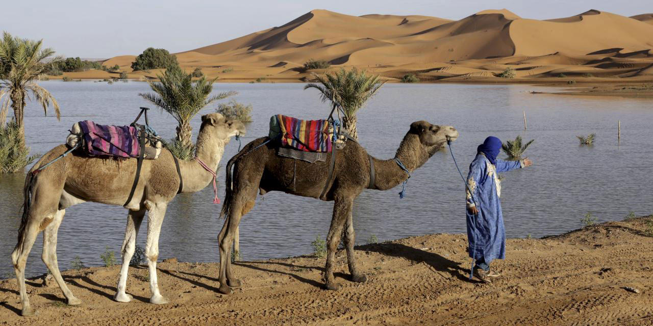 Sahra Çölü'ne nadir yağdırılan yağış ile göller canlandı