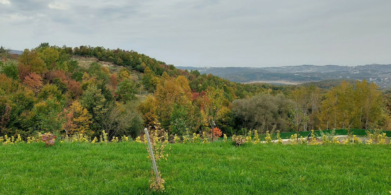 Tefekkür Tepesi: Nurları Tefekkür İçin İdeal Bir Mekan