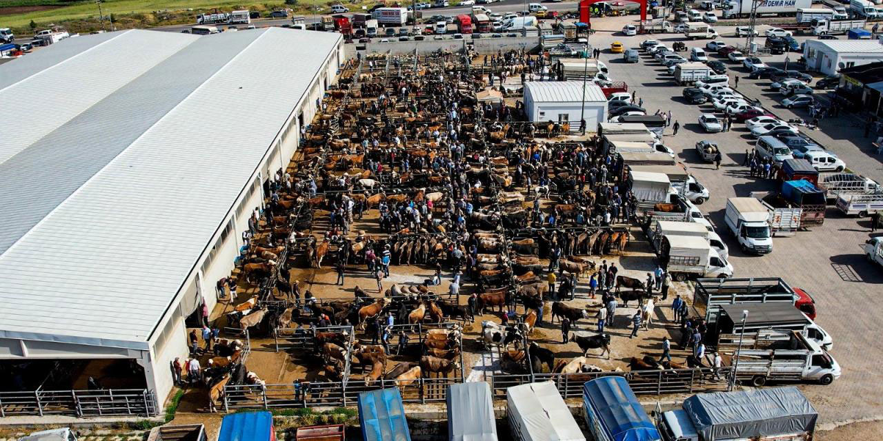 Pazarlarda kurban ibadeti heyecanı başladı