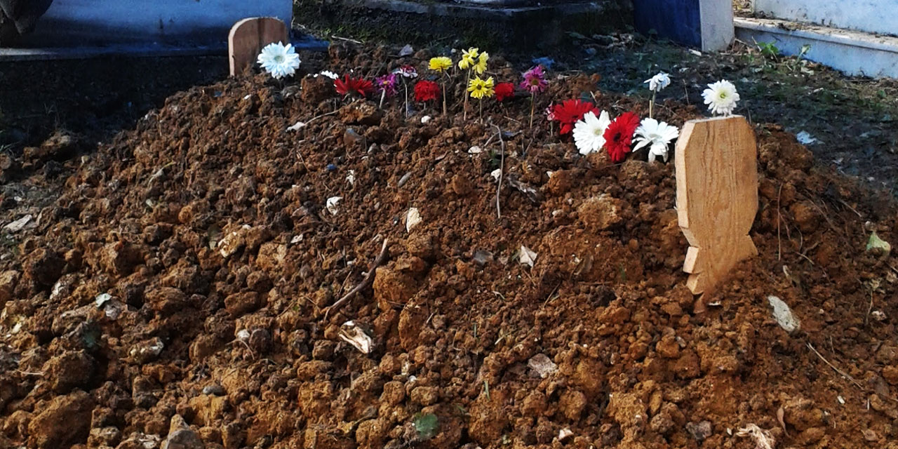 100 yıl sonra hepimiz toprak altında olacağız