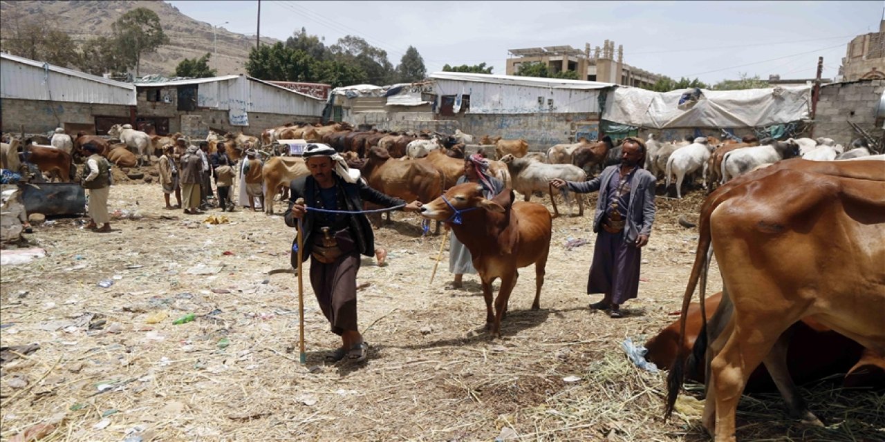 Yemen'de savaş, yoksulluk ve açlığın gölgesinde Kurban Bayramı